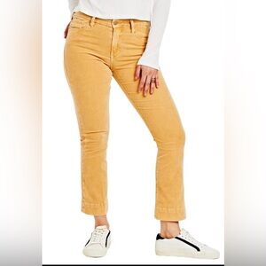 Dear John Jeanne Flare micro corduroy sunset gold pants size 28